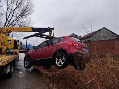 岳阳楚雄道路救援